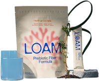LOAM
