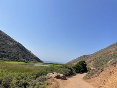 Fox, Coastal, Pirates Cove, and Tennessee Valley Loop