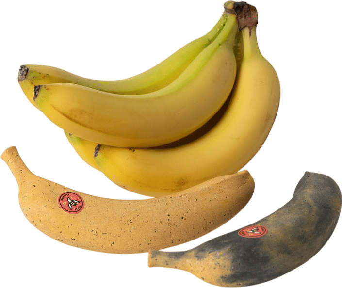 Concrete Banana