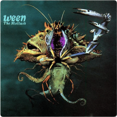 The Mollusk