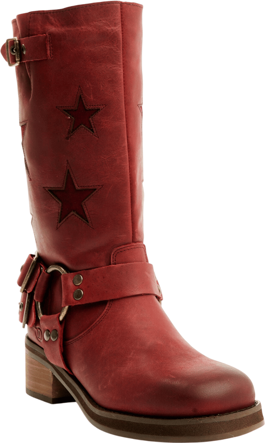 Dingo Moto Star Boots
