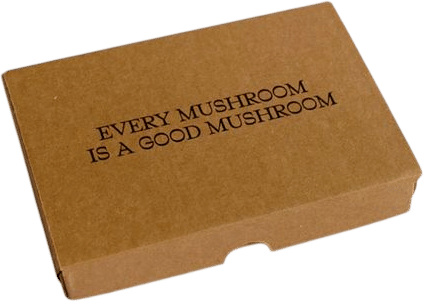 Every Mushroom is a Good Mushroom by Atelier Editions