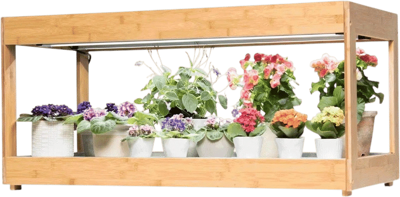 Low Bamboo LED Grow Light Garden