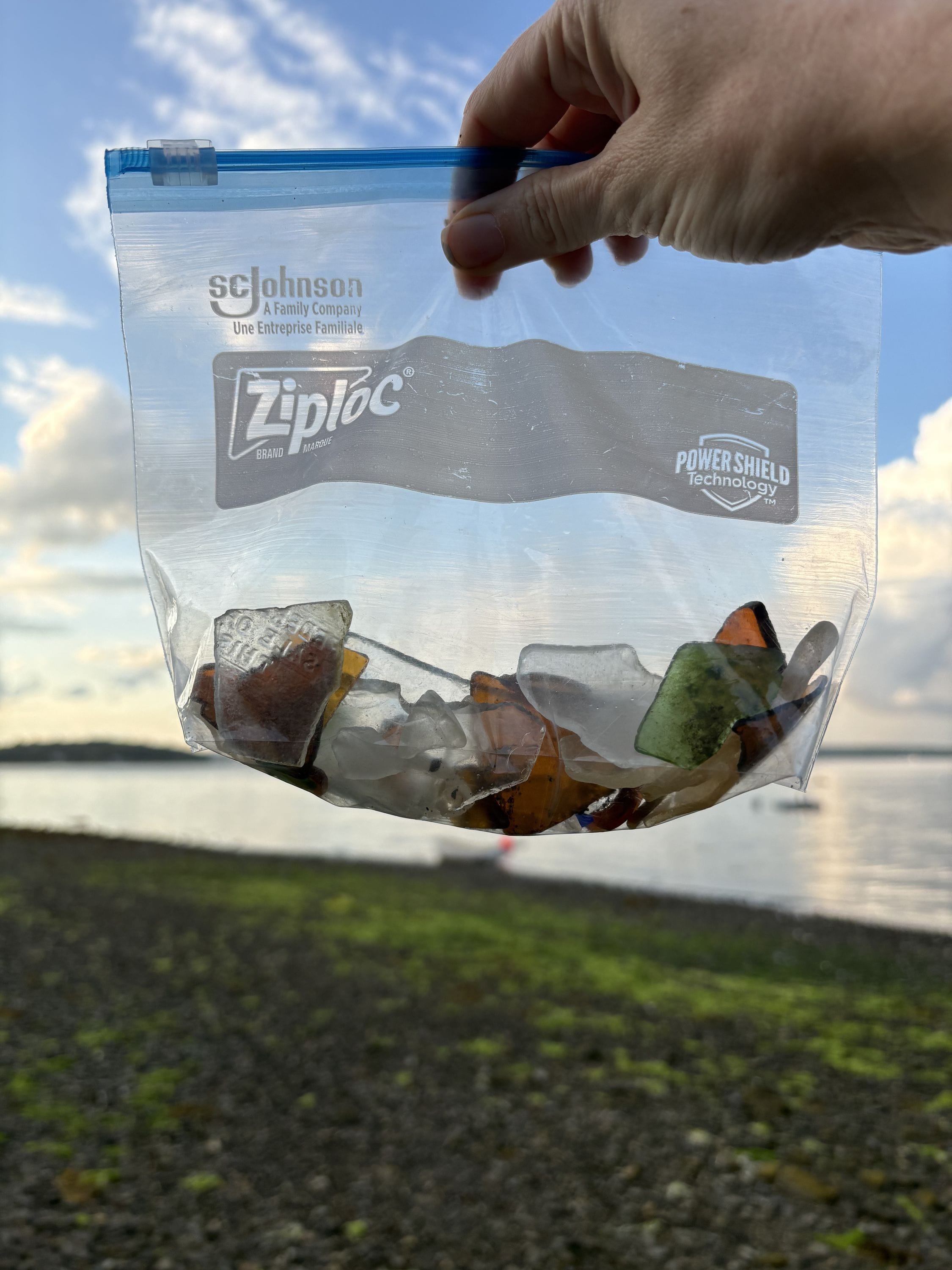 a ziplock bag in your purse
