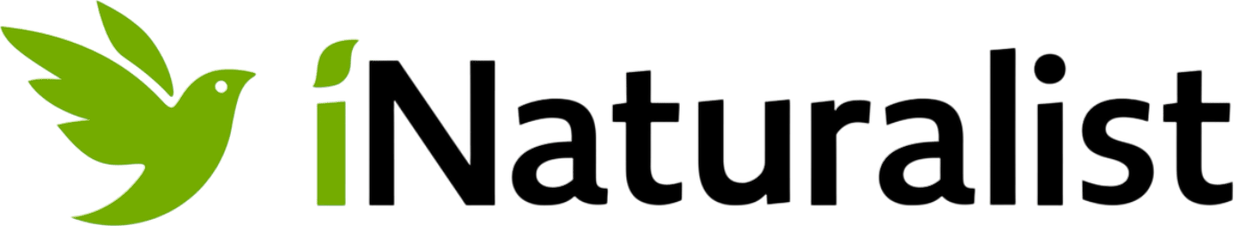 iNaturalist