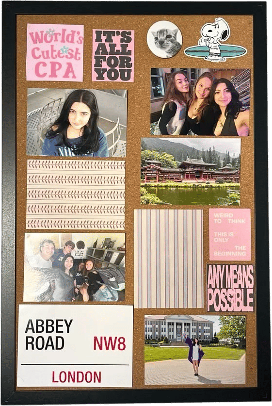 Cork Bulletin Board (18" x 24")