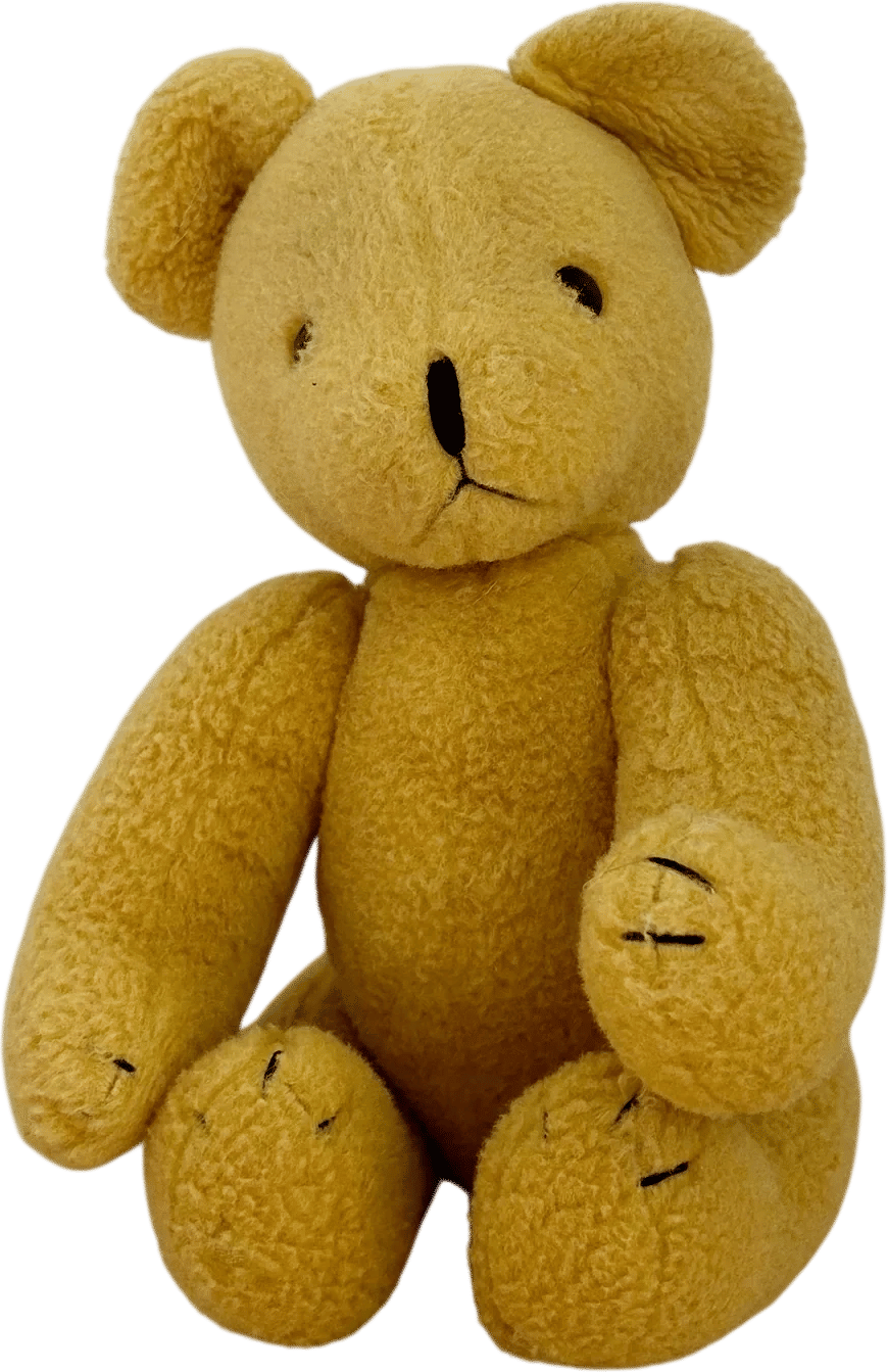 keeping your childhood stuffed animal