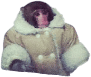 the ikea monkey