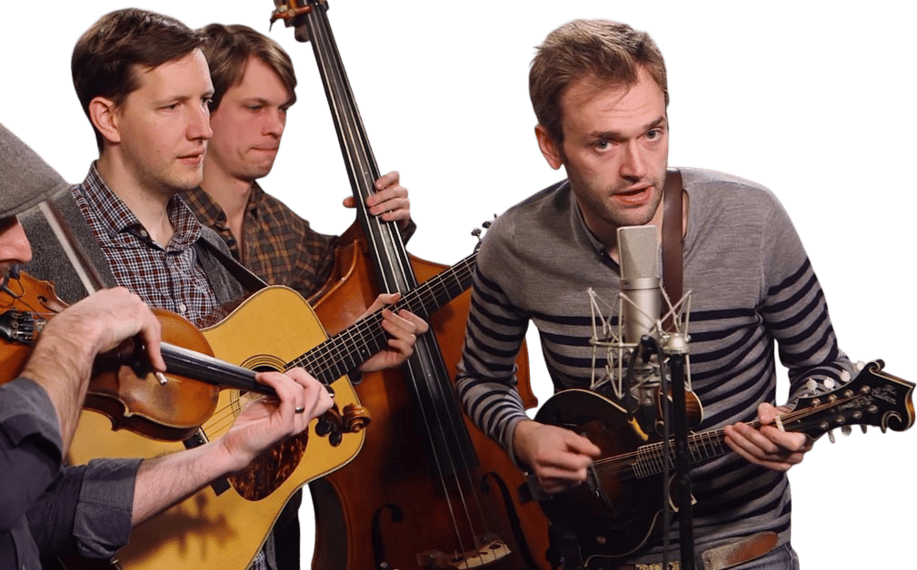 REPTILIA (The Strokes) - Punch Brothers