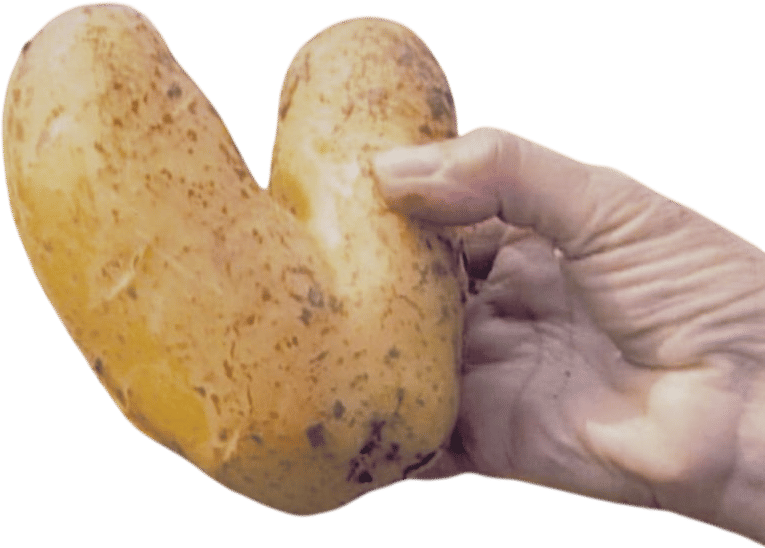 The Gleaners & I (2000)