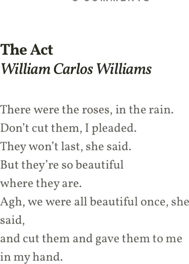 The Act (William Carlos Williams)