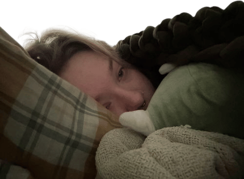 dinosaur weighted stuffed animal