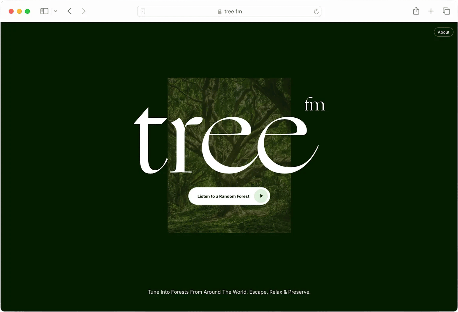 tree.fm – Tune Into Forests