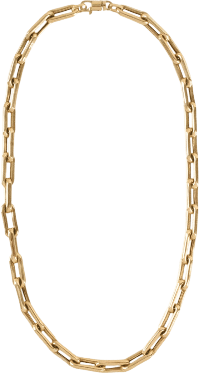 Kinn Rome Bold Link Chain Necklace