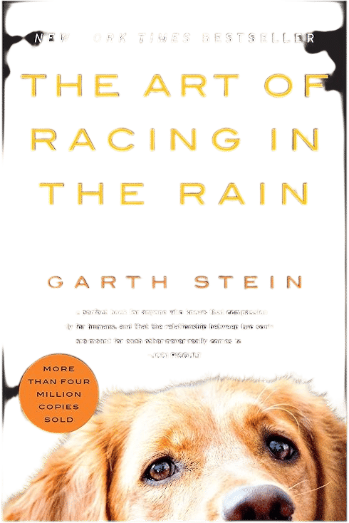 The Art of Racing in the Rain: A Novel