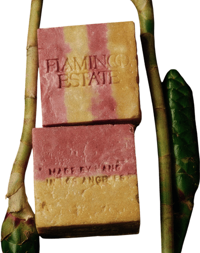Royal Hawai'i Ginger Soap Brick