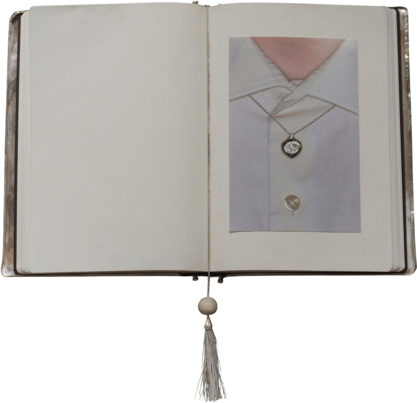 The Journal Cover by Lizzie Ames