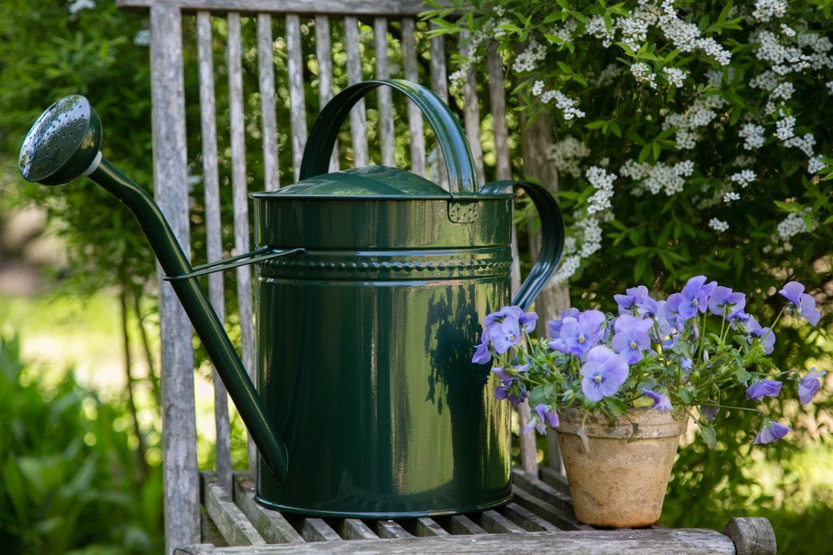 Watering Can