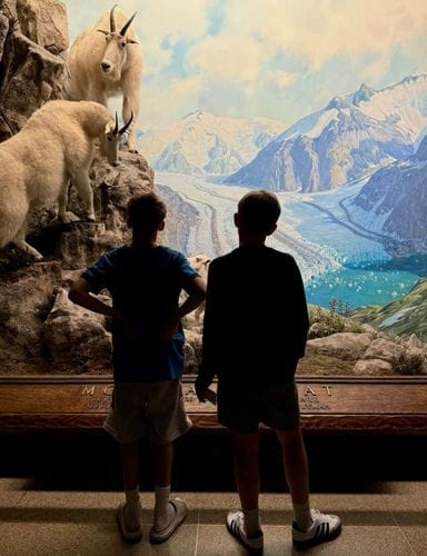 American Museum of Natural History
