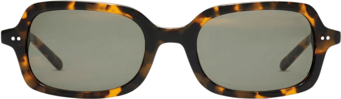 Santiago Polarized Acetate Sunglasses