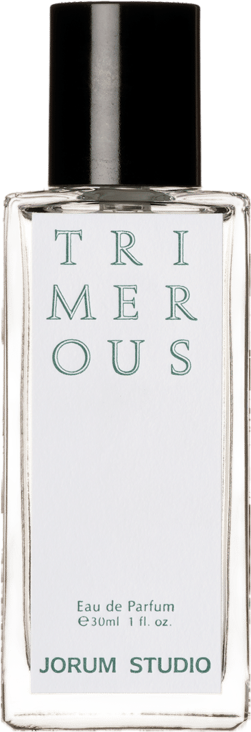 Jorum Studio Trimerous