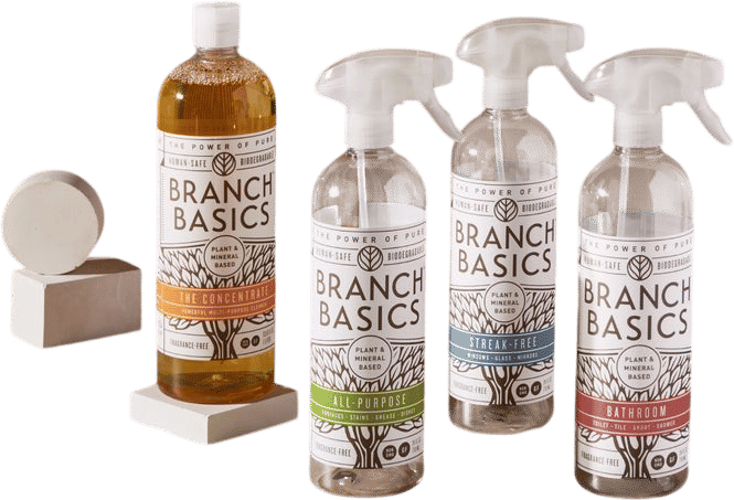 Cleaning Essentials Kit