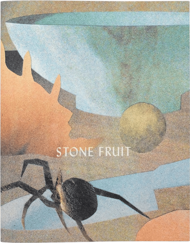 Stone Fruit - Risograph Zine/Art Book (2023)