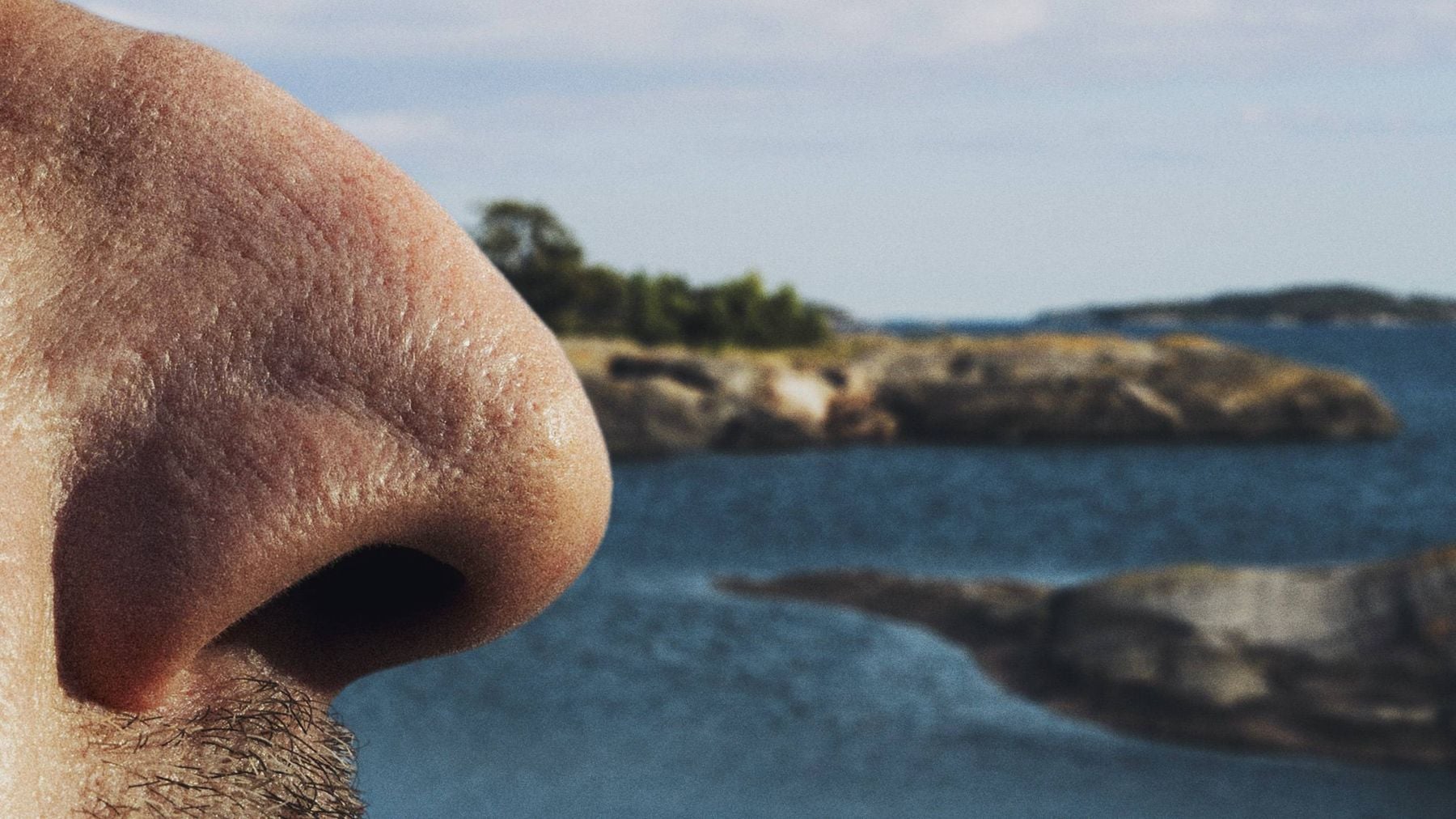 Nose Job in the Turku Archipelago