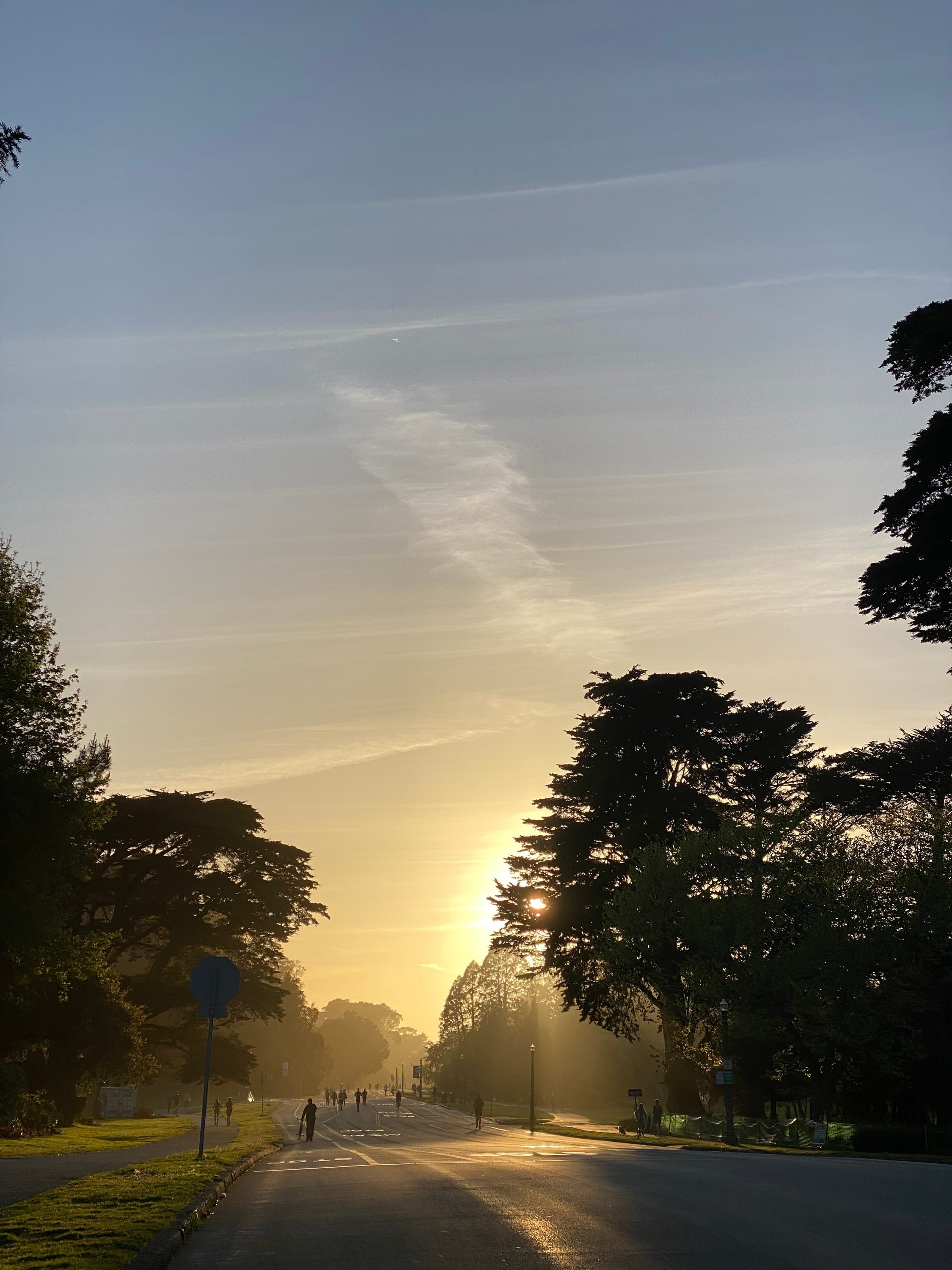 ride an e-bike through Golden Gate Park at sunset