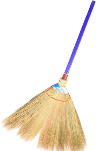 Walis Tambo (Philippine Broom)