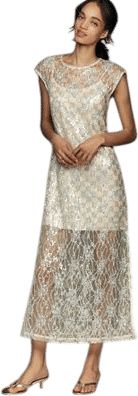 Siempre Sequin Sheer Overlay Midi Dress