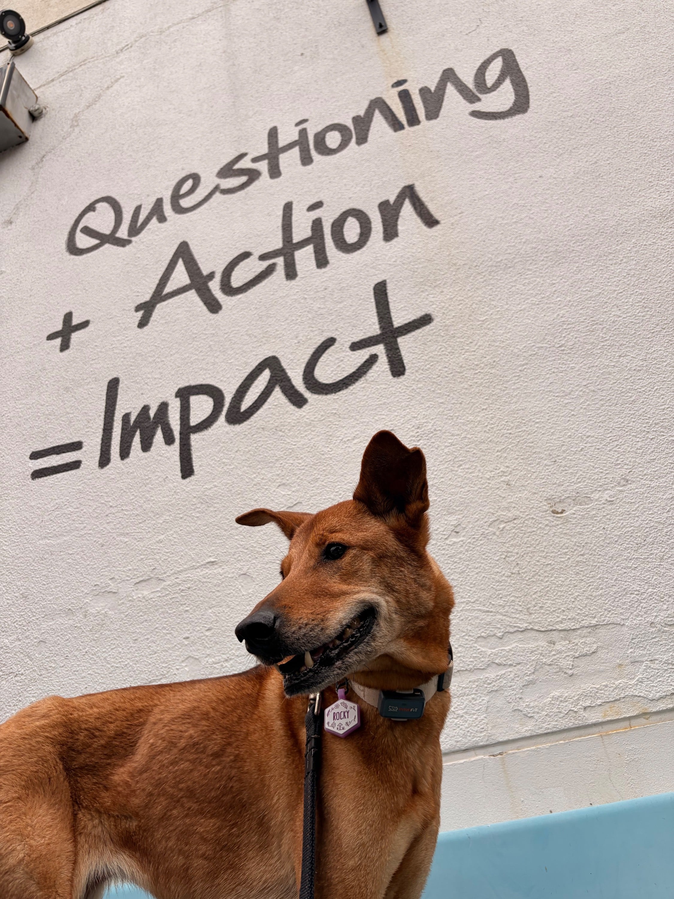 Questioning + Action = Impact