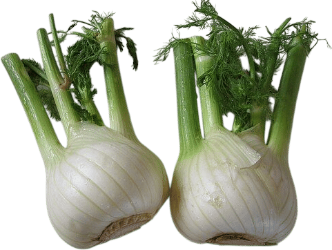 Bring a shaved fennel salad to a party
