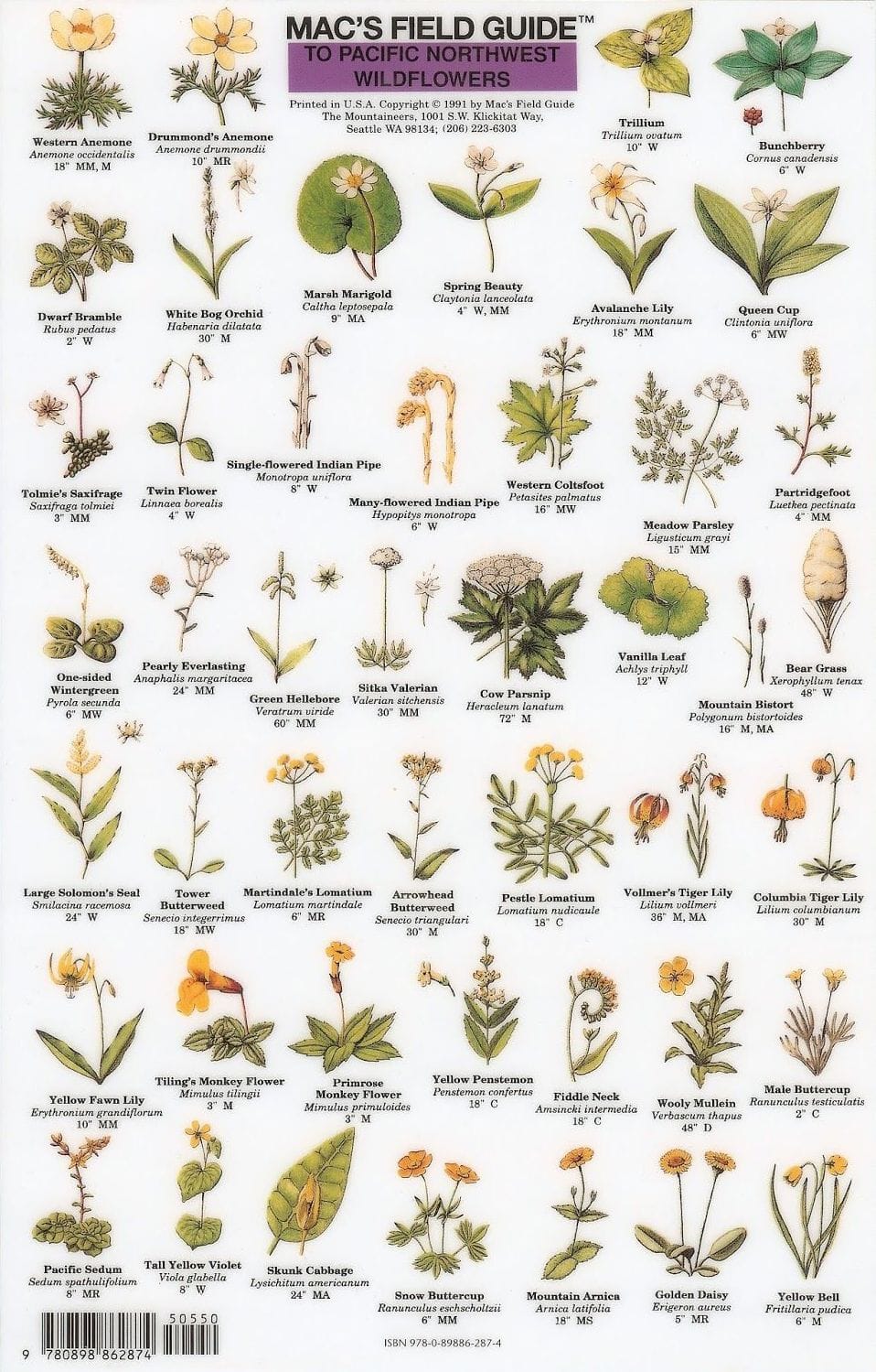 Mac’s laminated field guide for identifying wild flowers