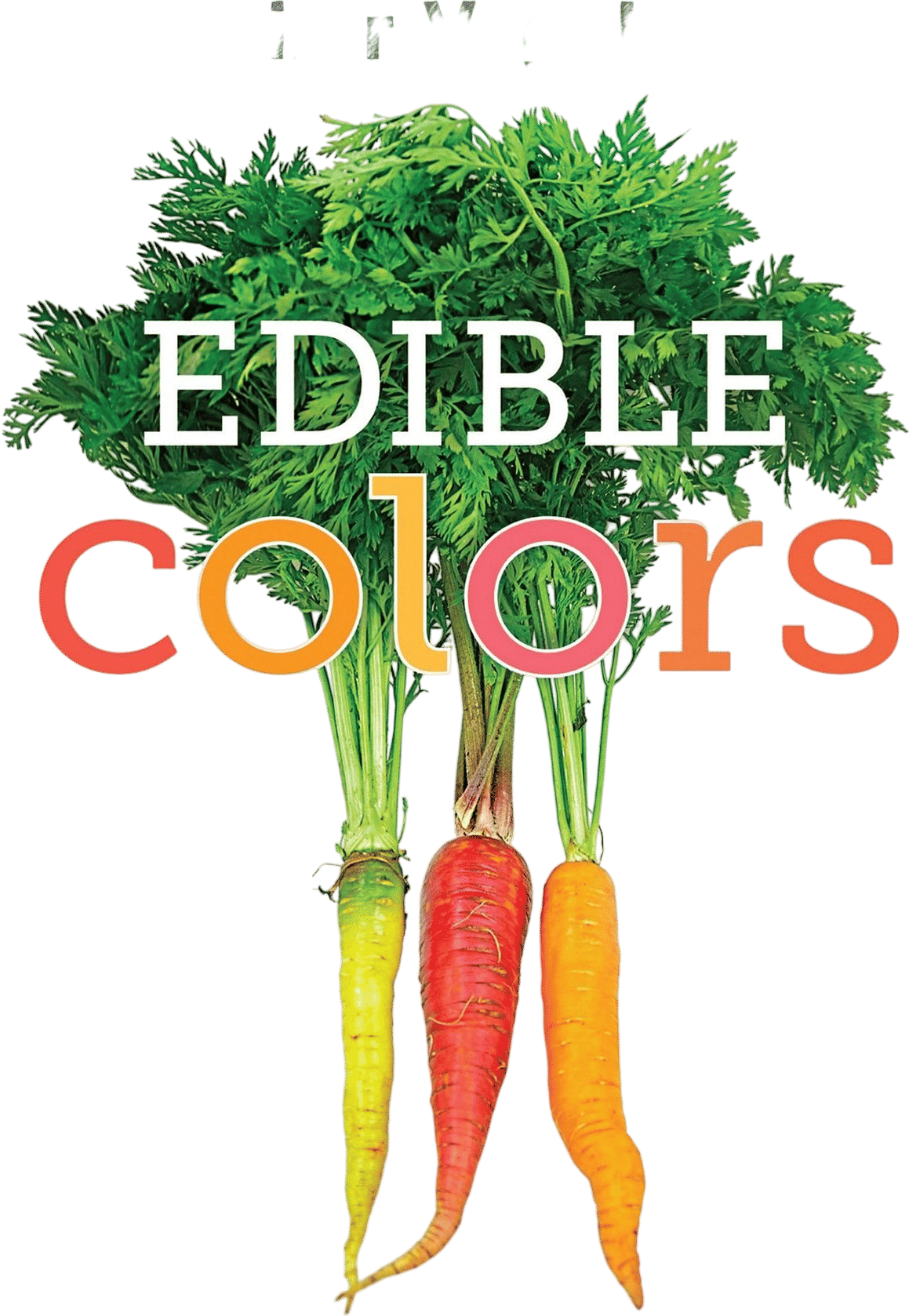 Edible Colors board book