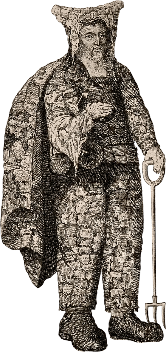 Ornamental Hermit