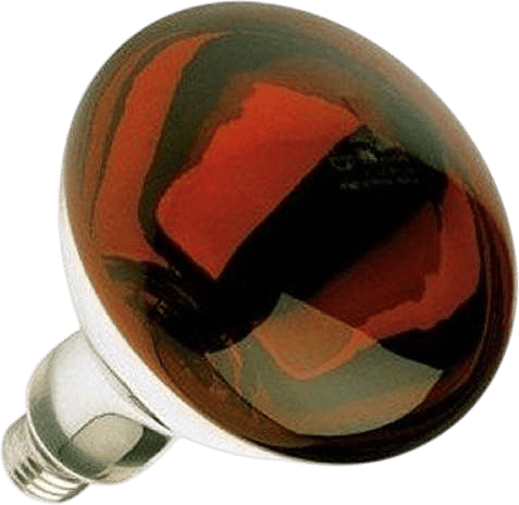 Sterl Lighting BR40 Reflector Red Heat Lamp Bulb (250W)