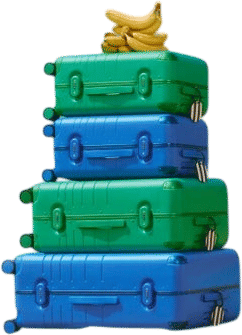 Hybrid Carry-On