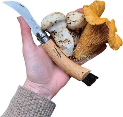 Opinel Foray Knife with Brush