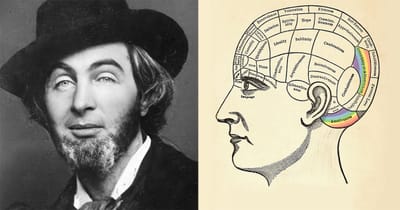 How Phrenology Queered Language: Walt Whitman and the Evolving Lexicon of Love
