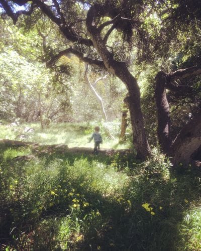 hiking with friends