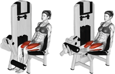 doing “the program” on leg extensions