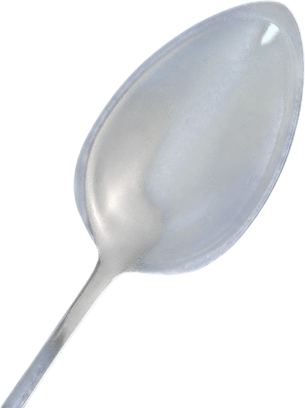 Gestura LLC 01 Silver Spoon