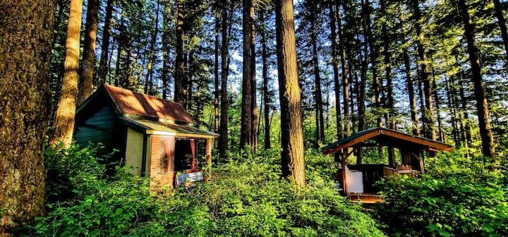This exact farmstay Airbnb