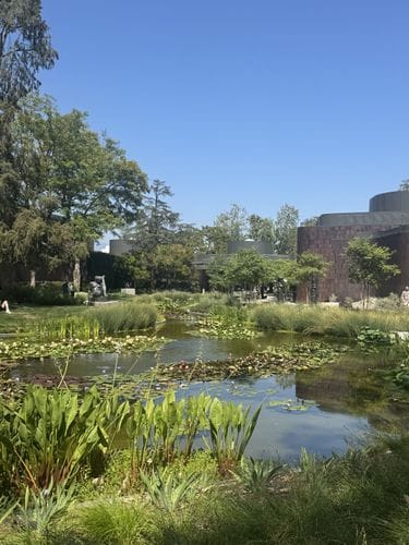 Norton Simon Museum