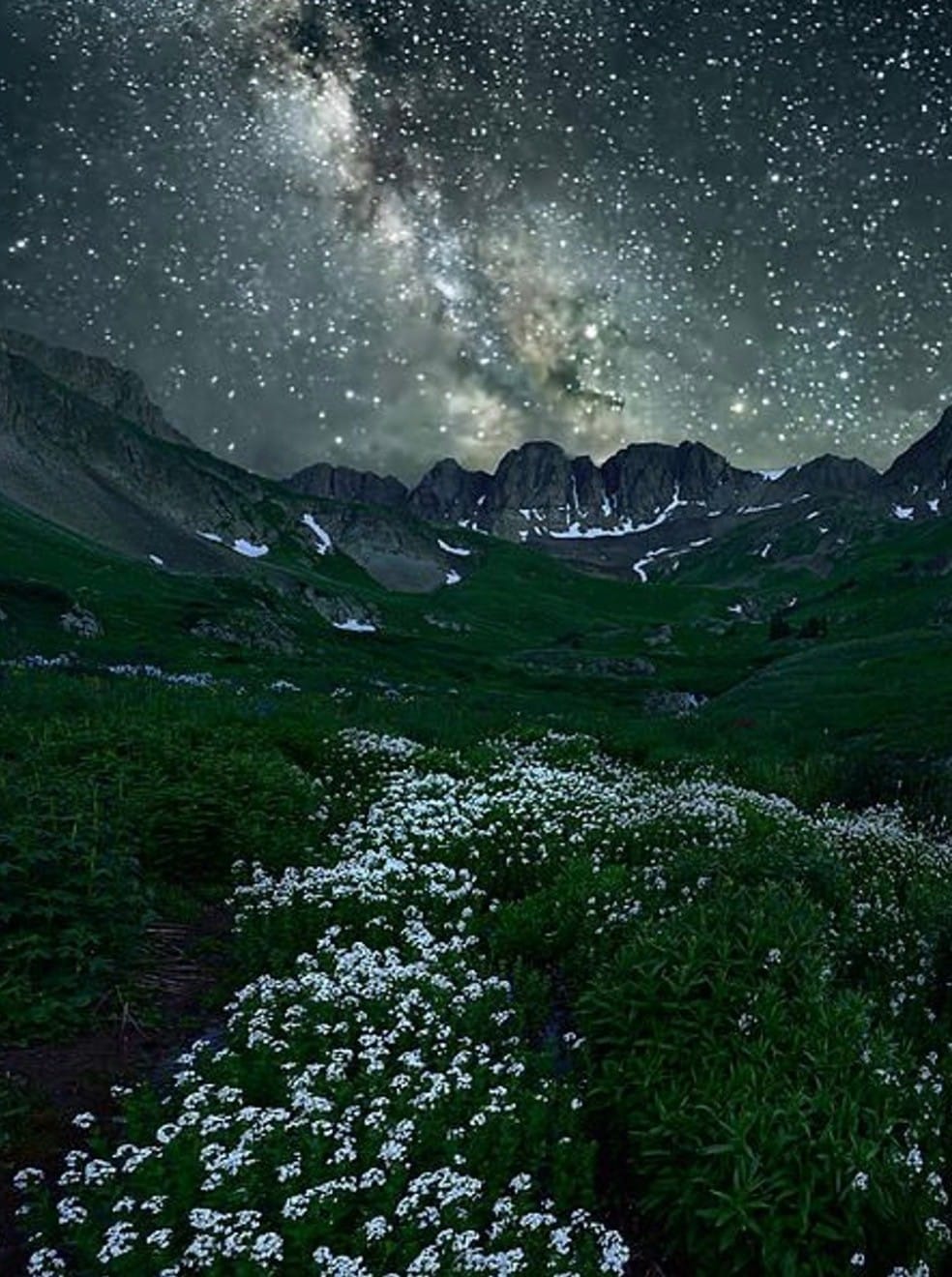 Fall Asleep Under the Stars