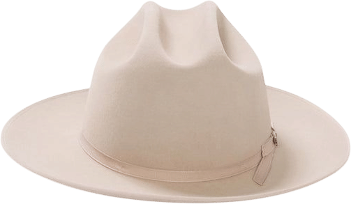 Stetson 6x Open Road Silverbelly