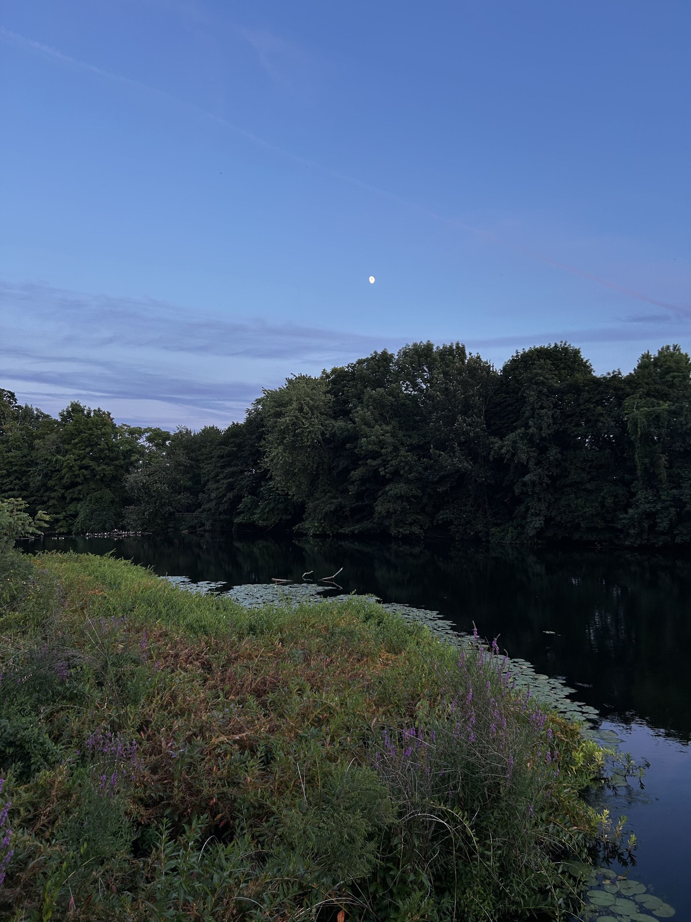 Charles River Esplanade