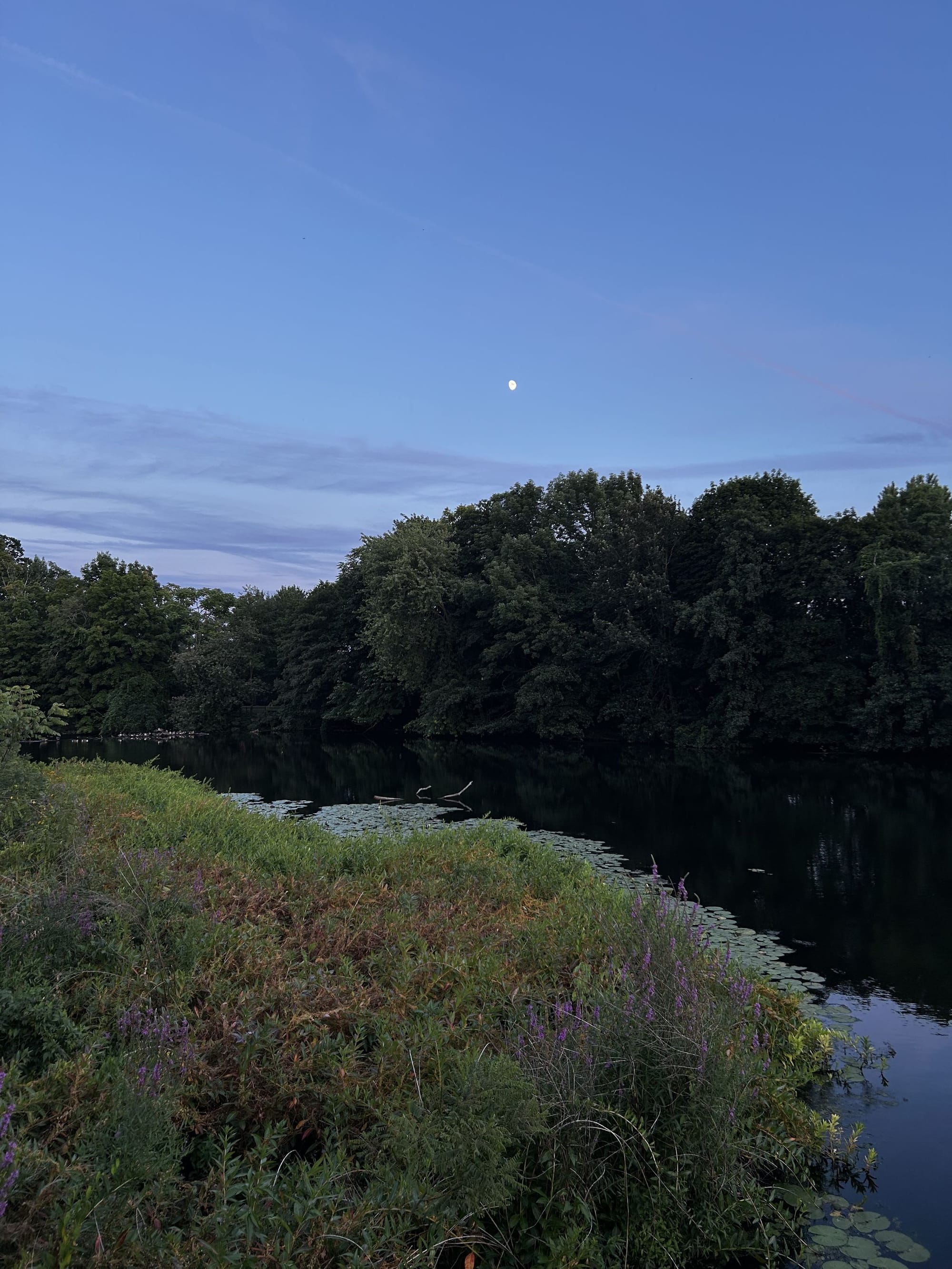 Charles River Esplanade