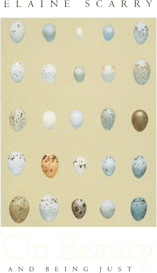 On Beauty and Being Just - Elaine Scarry